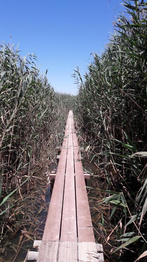Eco Costa Blanca