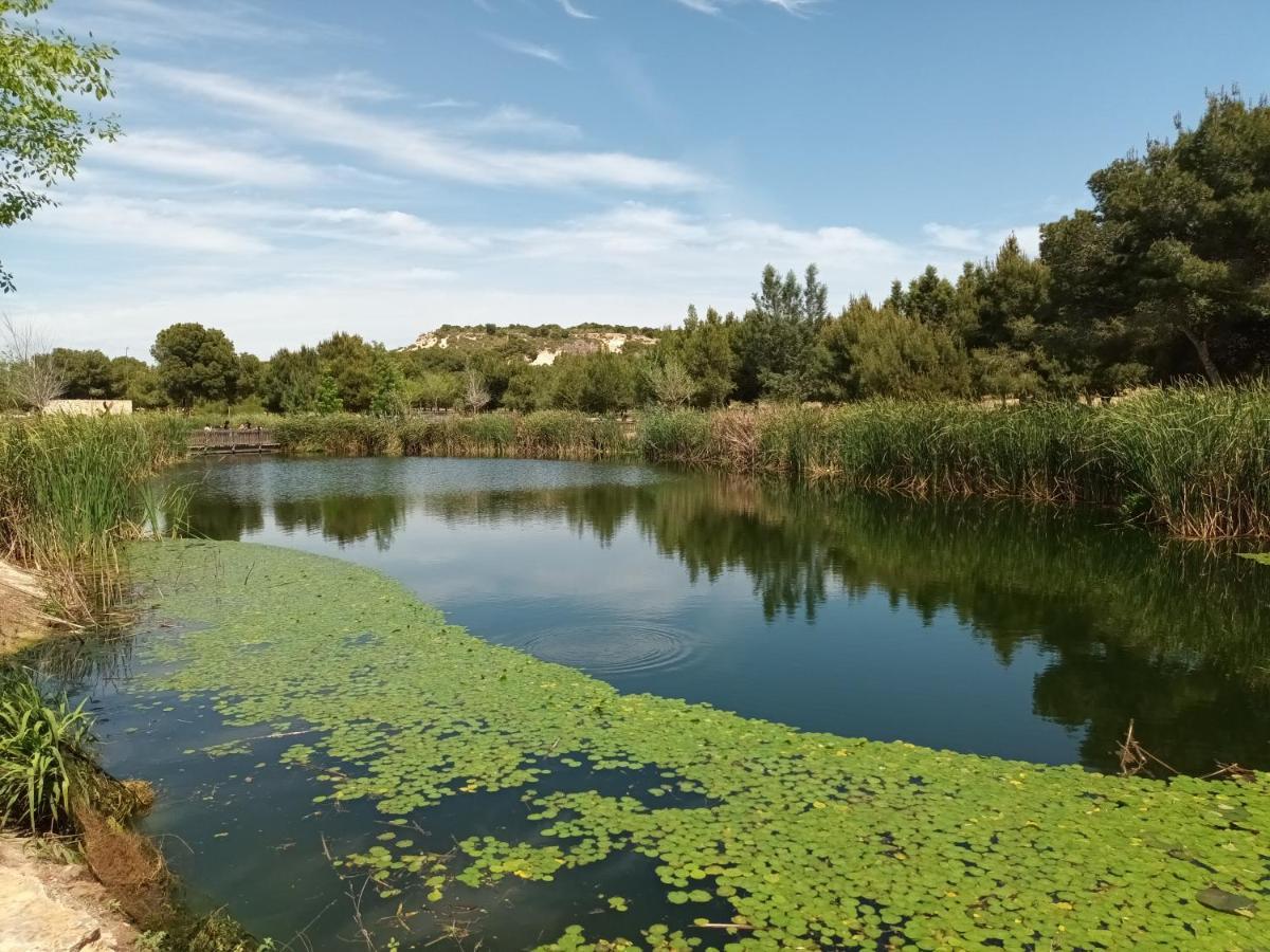 Eco Costa Blanca Campsite *